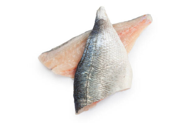 Dorade gewolft 500 g Schale TK